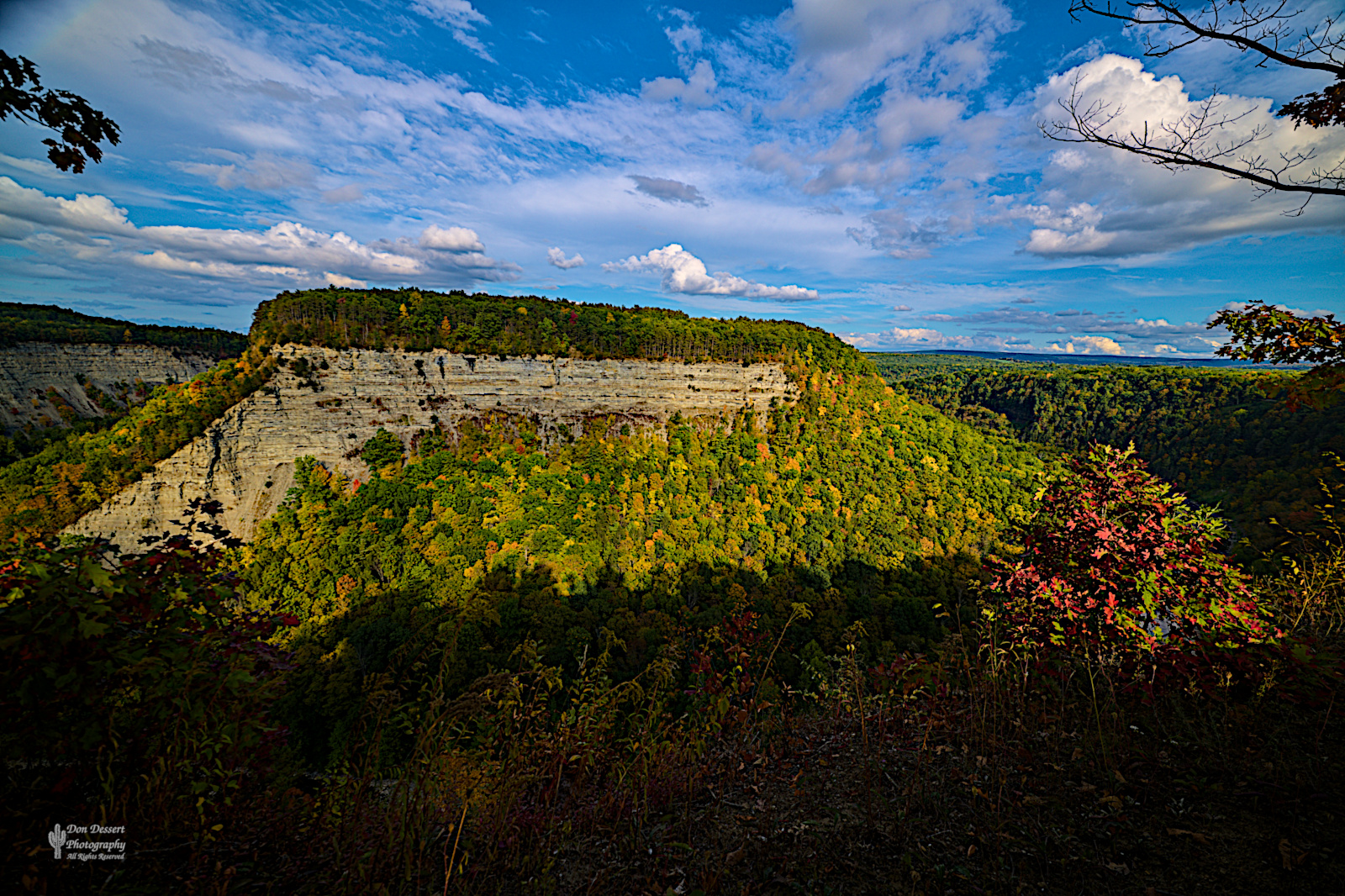 Click for larger image