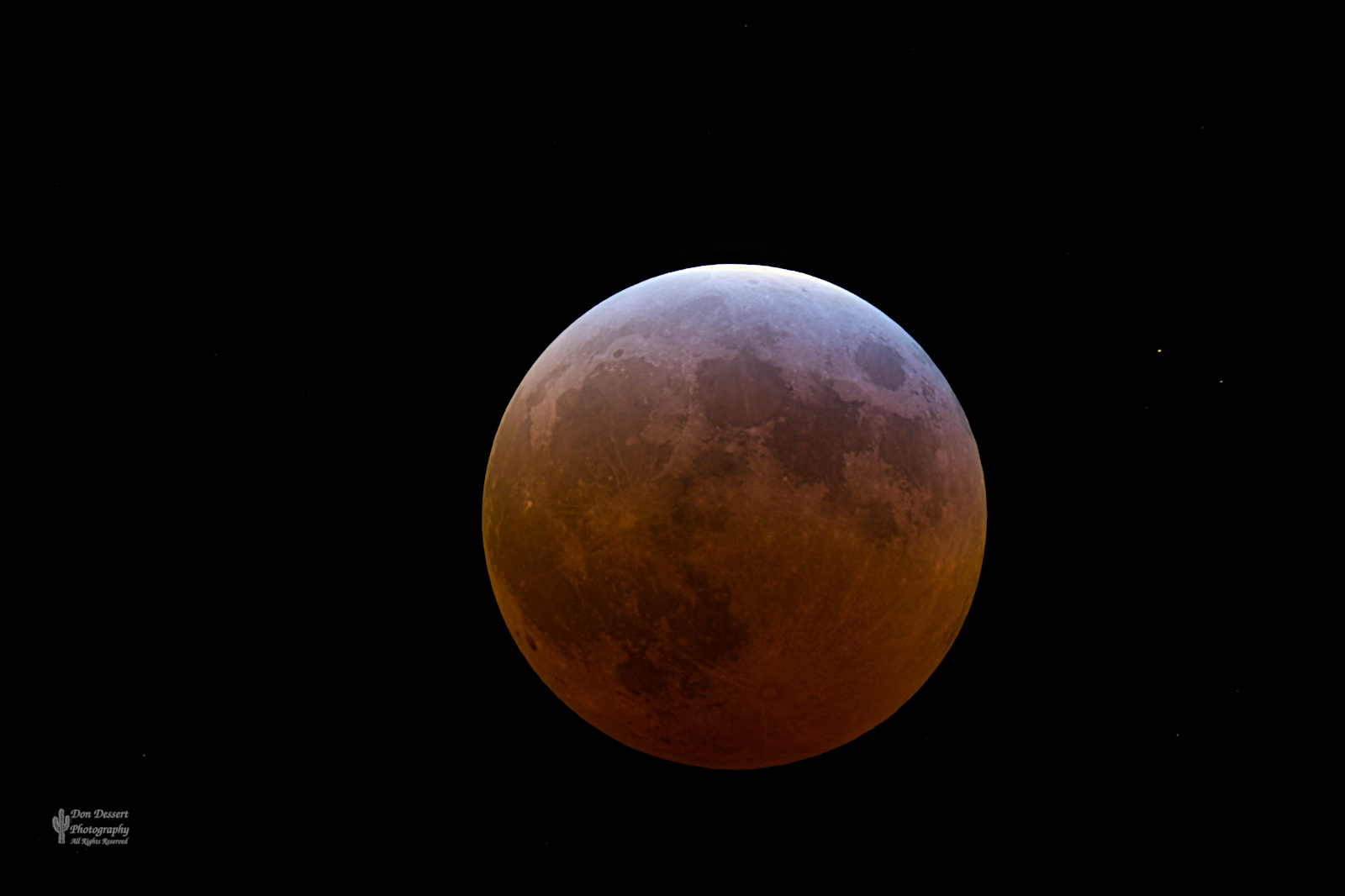 Click for larger image