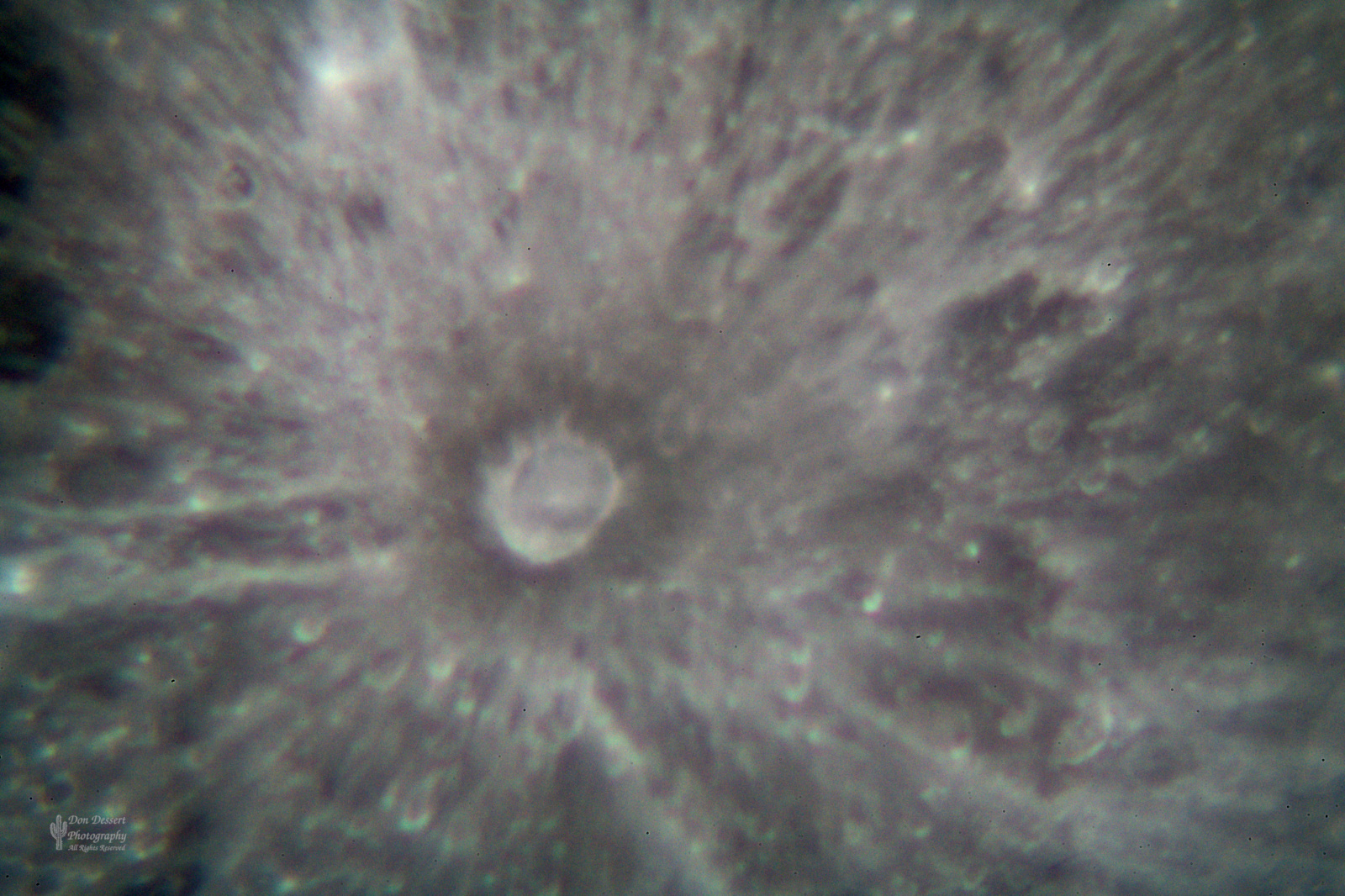 Click for larger image