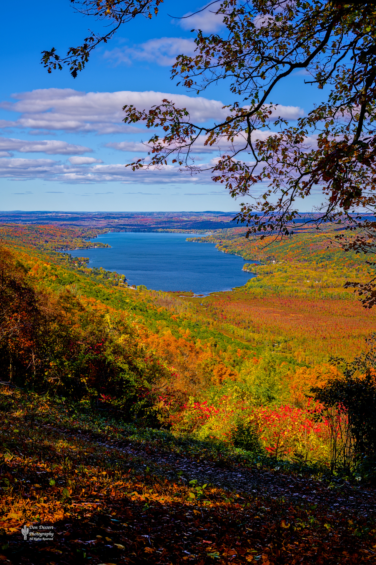 Click for larger image