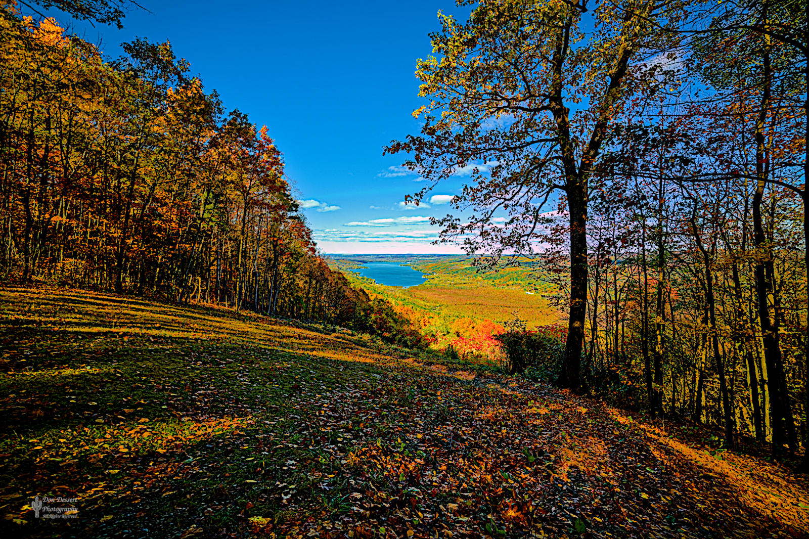 Click for larger image