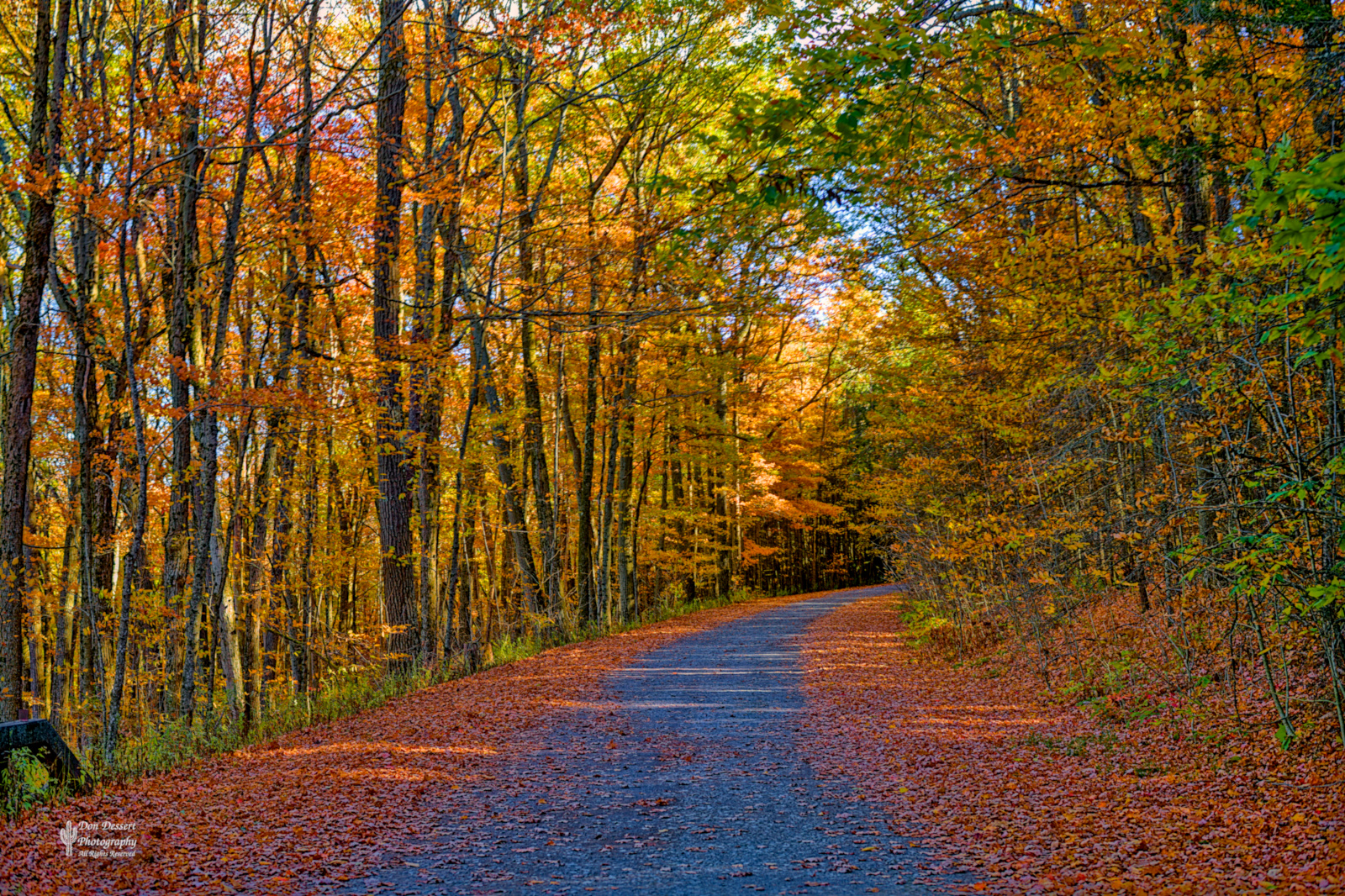 Click for larger image