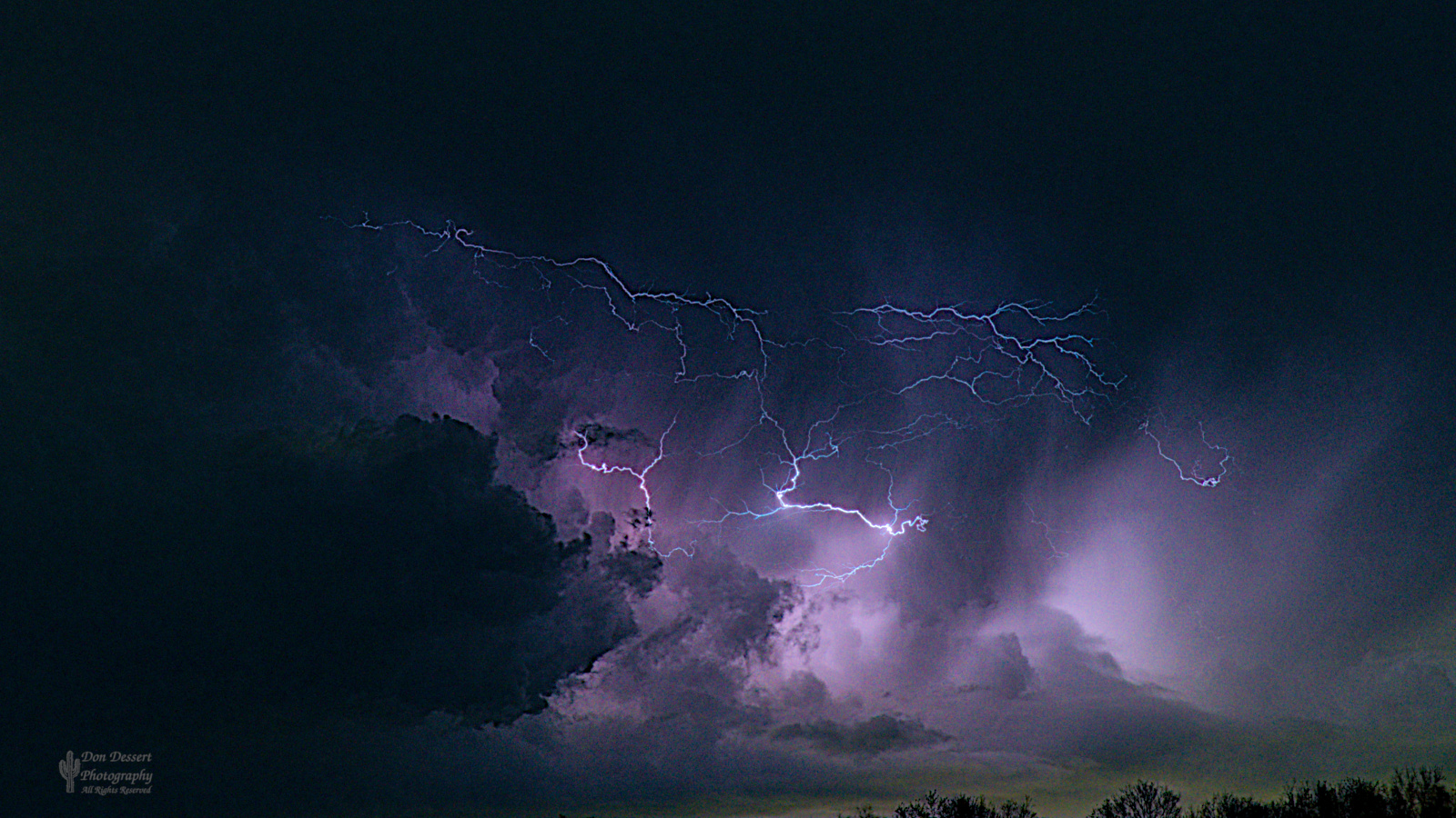 Click for larger image