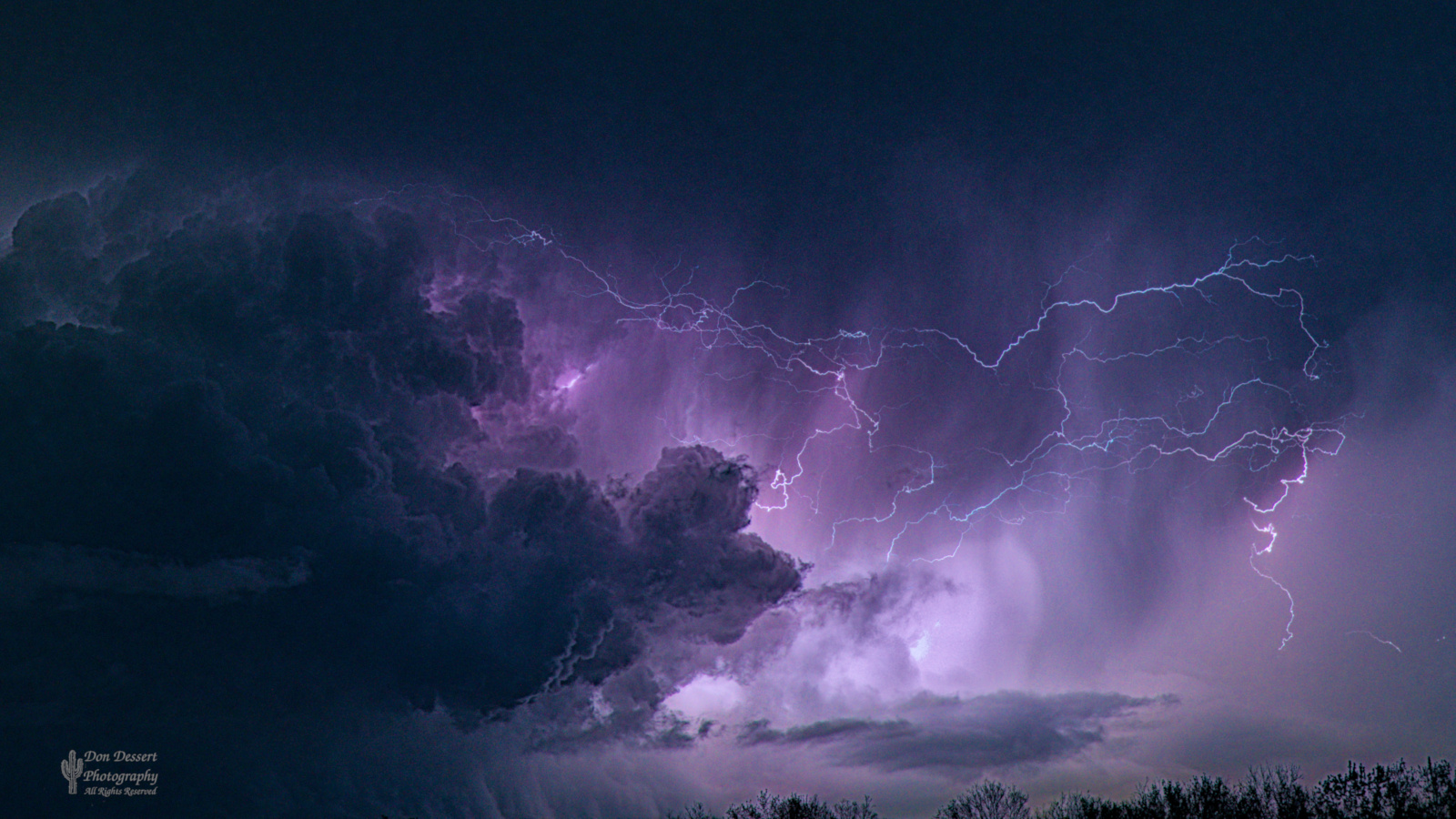 Click for larger image