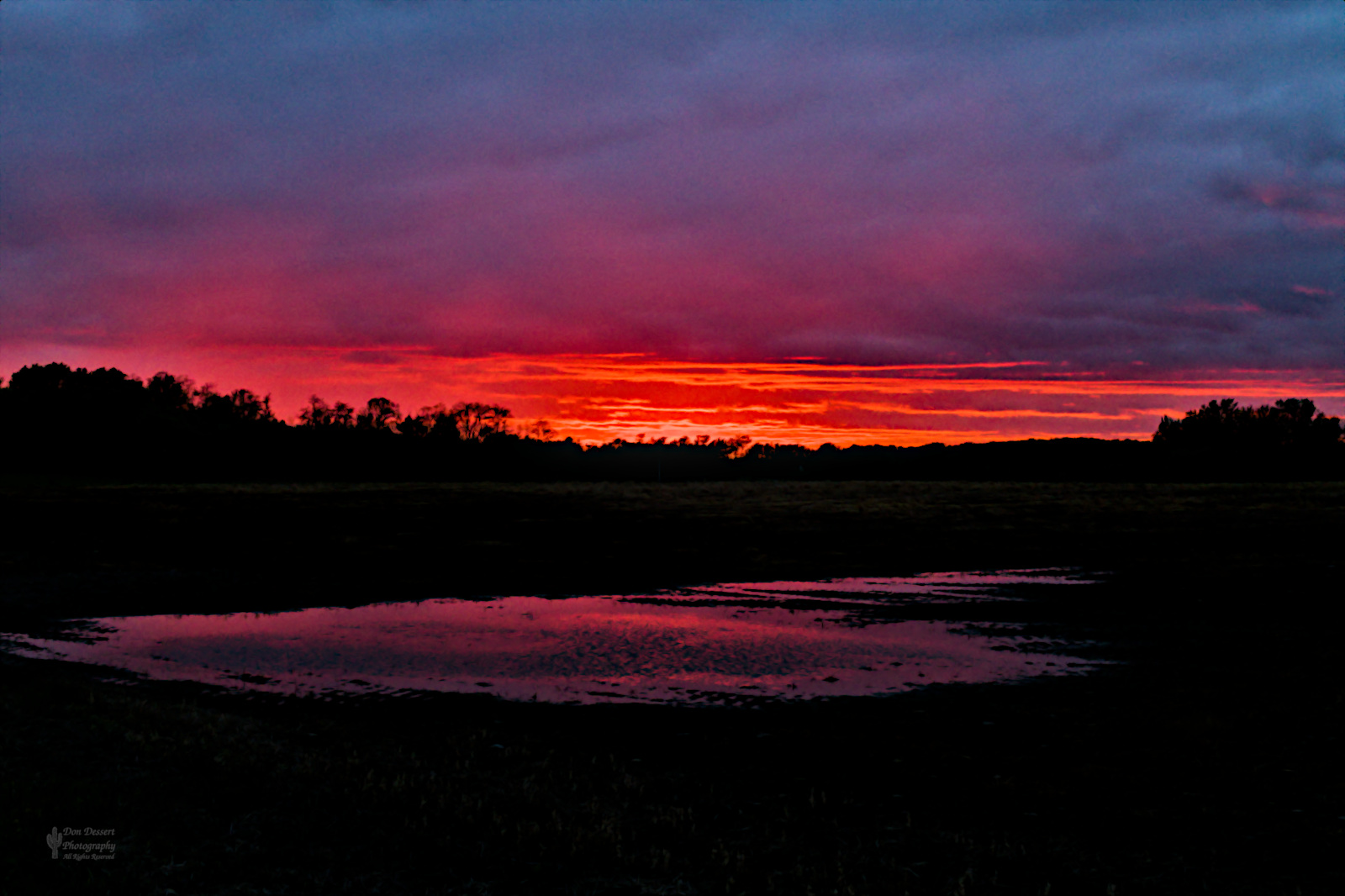 Click for larger image