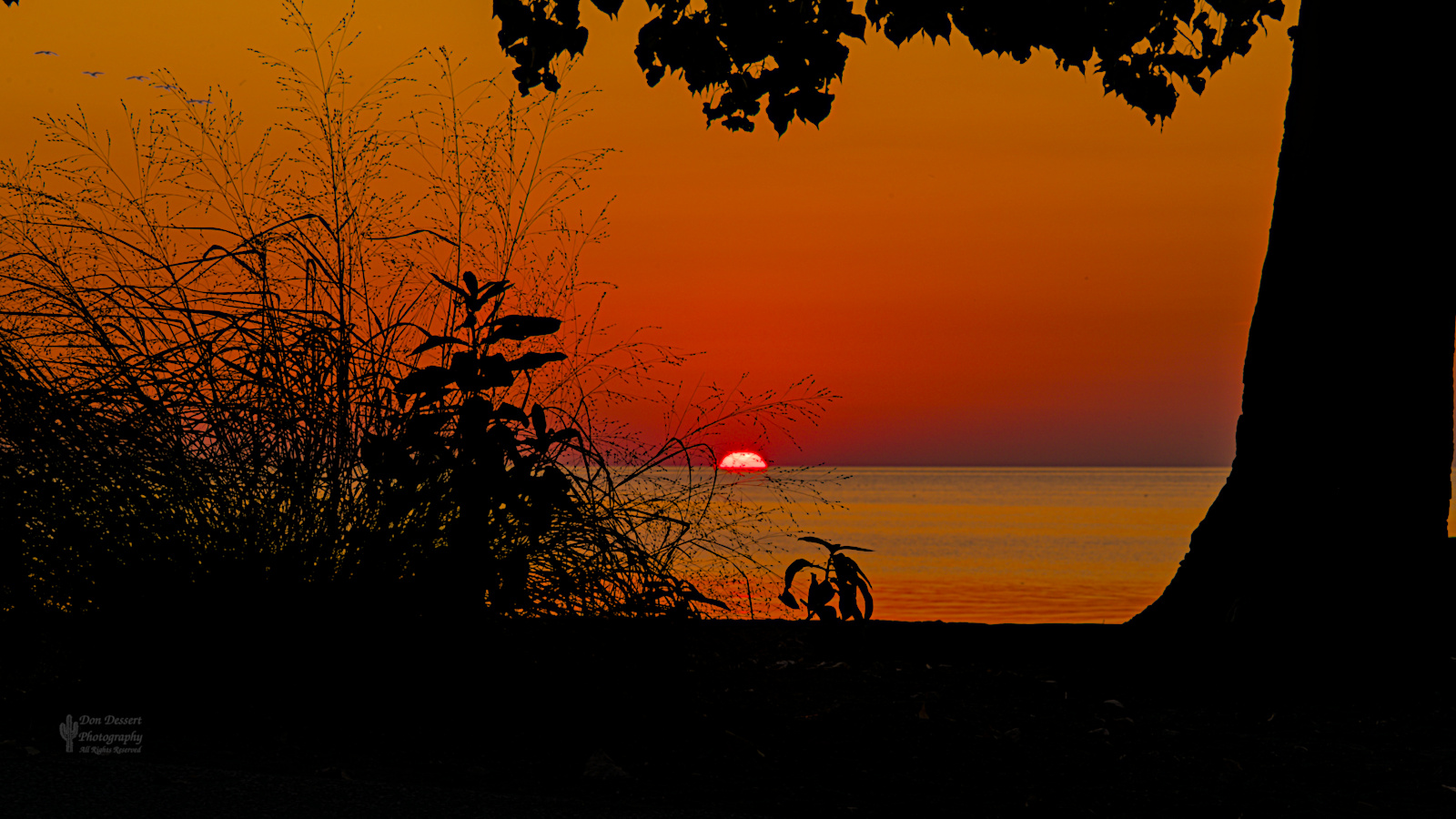 Click for larger image