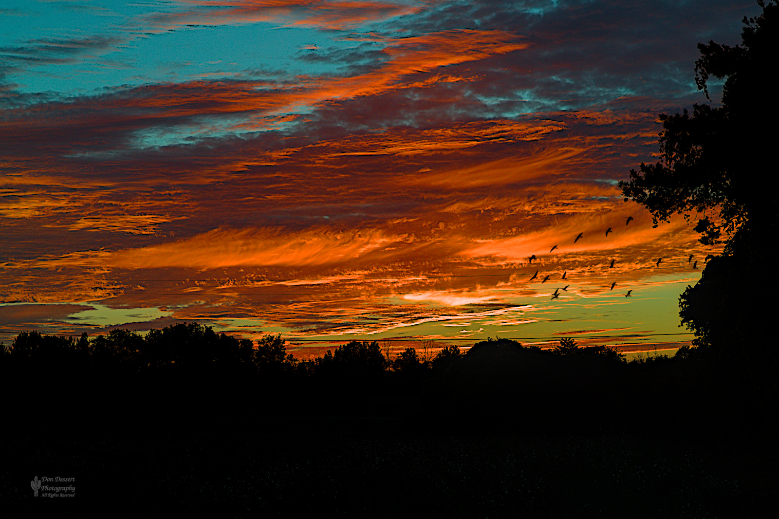 Click for larger image