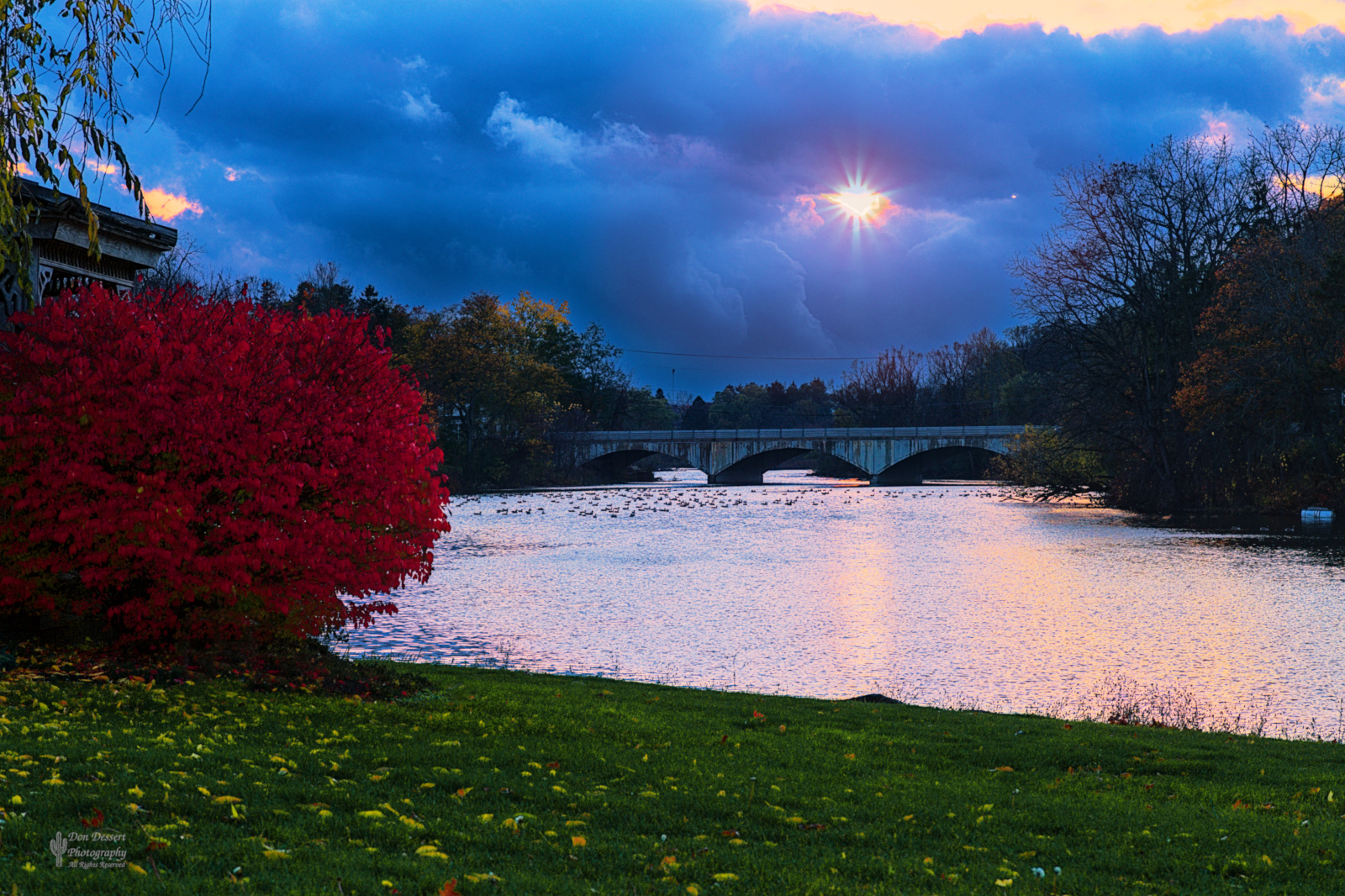 Click for larger image